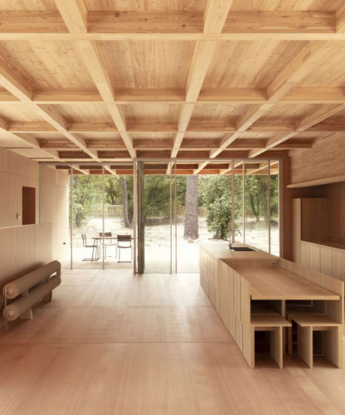 nicolas dahan constructs wooden family house within pine forest in southwestern france