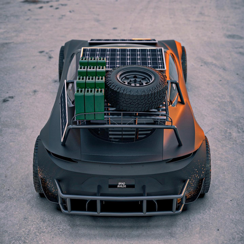 tesla roadster safari