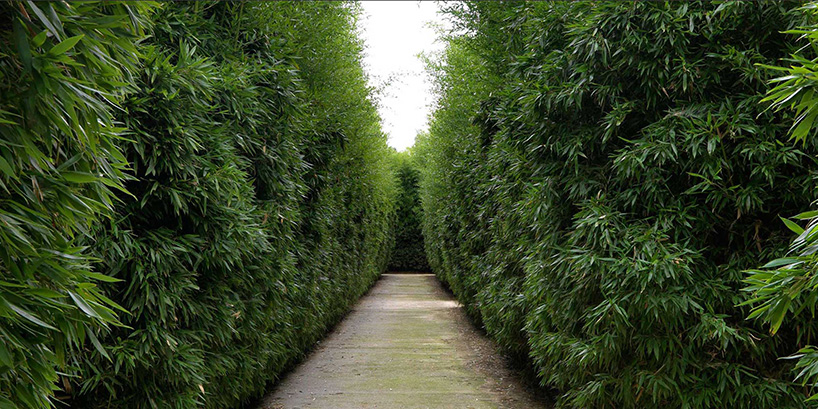 world’s largest labyrinth: labirinto della masone by franco maria ricci