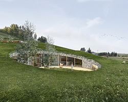 adrian kasperski weaves house into the hills of polish landscape