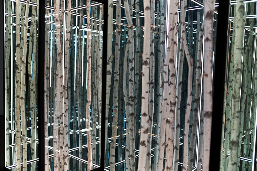 anthony james on capturing 'the colossally vast and the infinitesimally small' through light