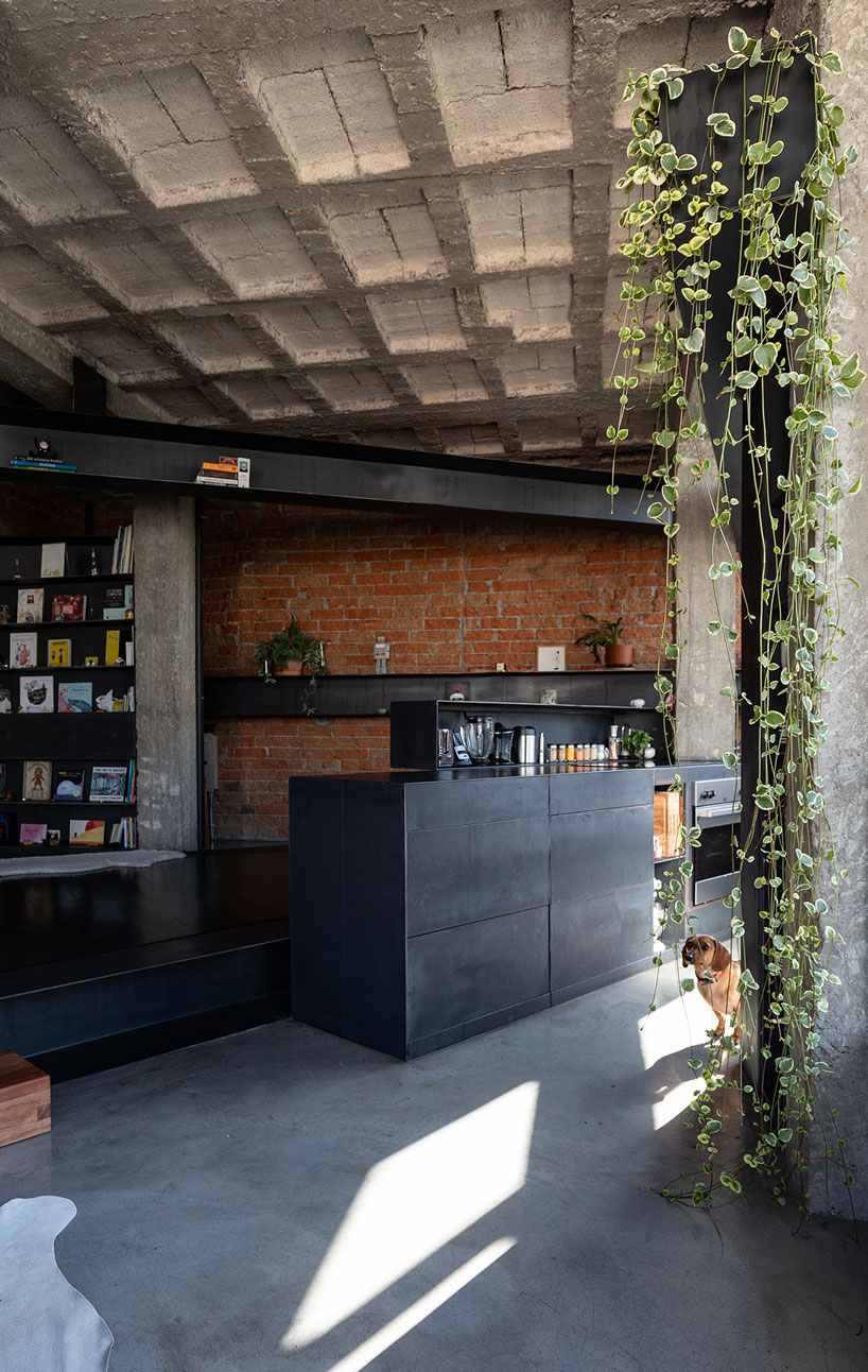 exposed concrete columns furnish aquiles jarrín's 'forest' apartment renovation in quito designboom