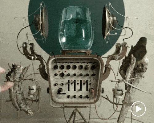 bichopalo sculpts complicated music machines using plants and other objects