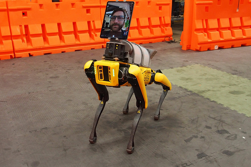 boston dynamics spot robot dog helps doctors treat COVID-19 patients