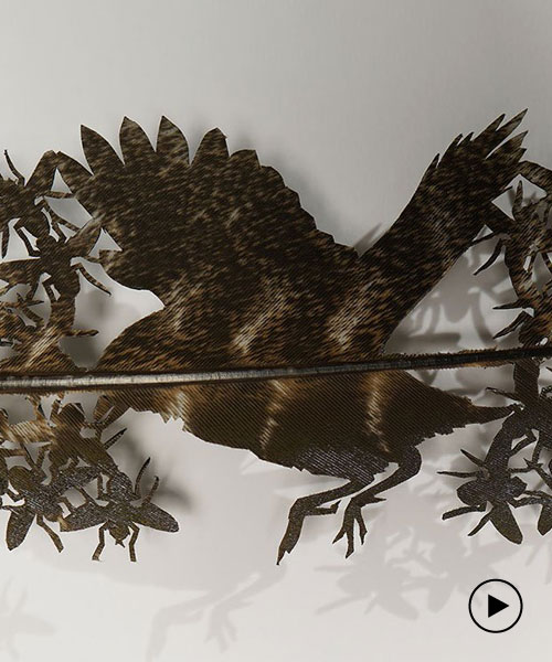 chris maynard carves real bird feathers into intricate artworks