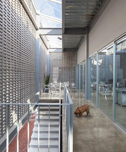 a concrete lattice clads a modular office in mexico designed by morari arquitectura + JAA