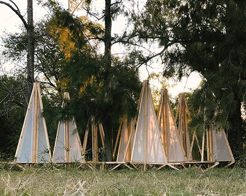 the eco-sistema installation mirrors the shape of trees in an argentinian forest