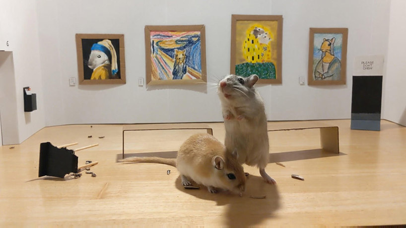 this tiny gerbil museum showcases famous rodent artworks from da vinci to van gogh