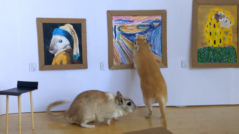 this tiny gerbil museum showcases famous rodent artworks from da vinci to van gogh