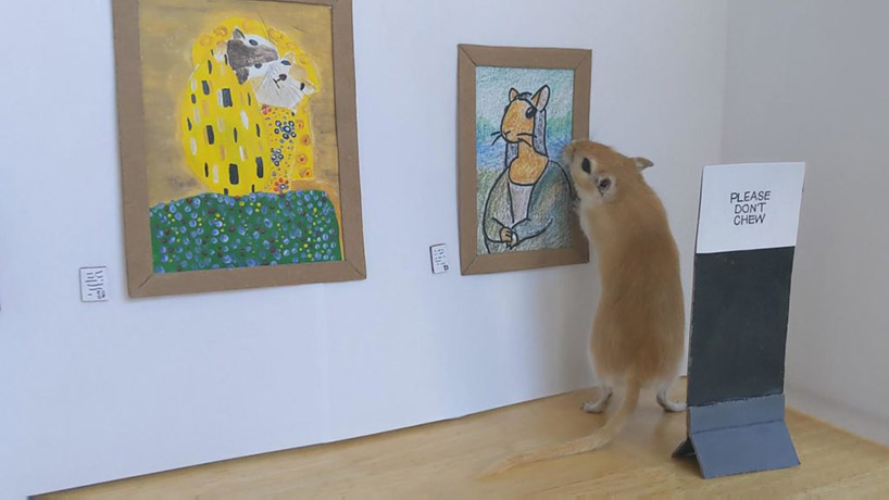 this tiny gerbil museum showcases famous rodent artworks from da vinci to van gogh