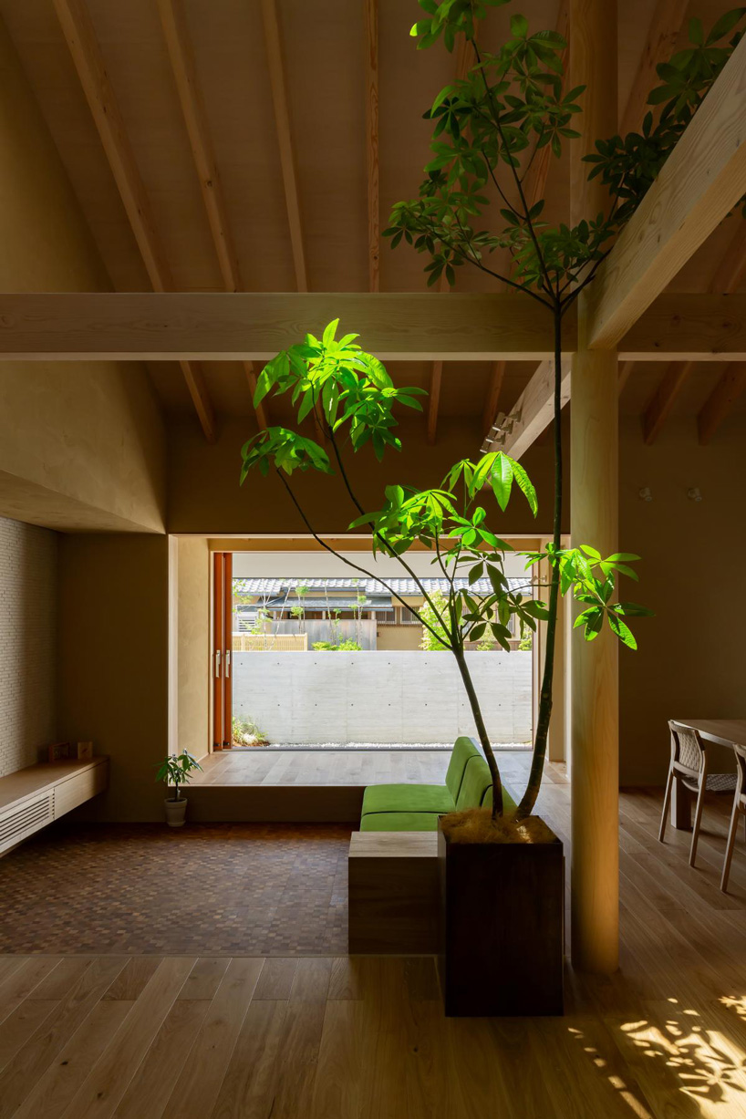 gabled roof with extended eaves tops hearth architects' hikone house in japan