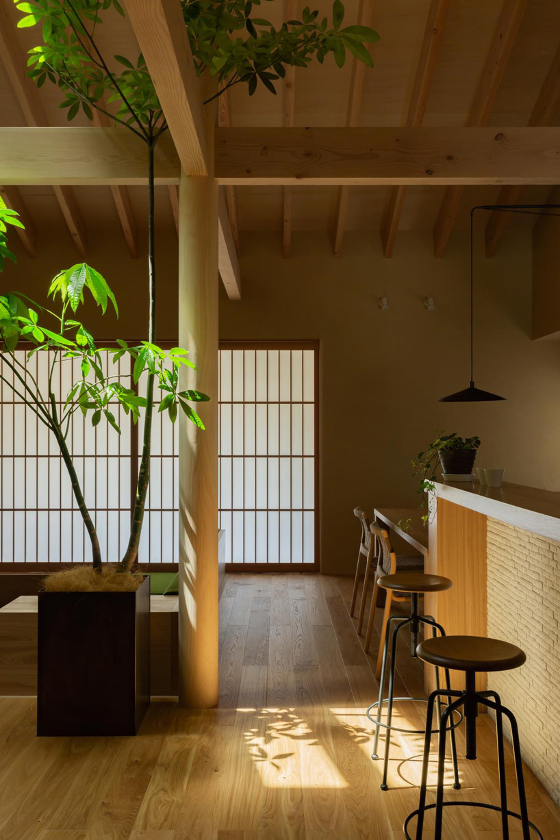 gabled roof with extended eaves tops hearth architects' hikone house in japan