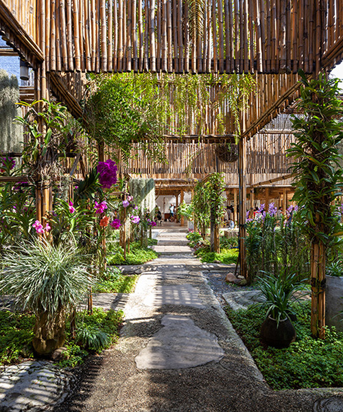 studio miti uses bamboo to build colorful 'orchid farm' in thailand