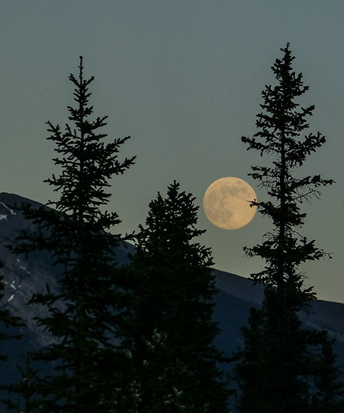 tonight, a pink supermoon—the biggest of the year—will light up the sky
