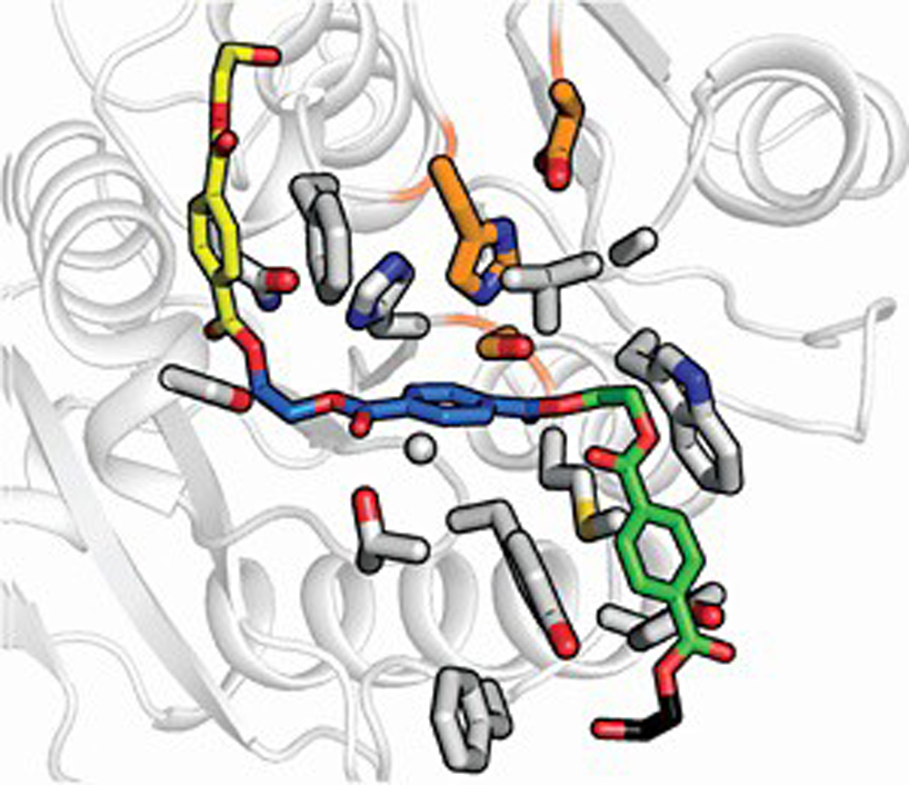scientists create enzyme that breaks down plastic to raw materials