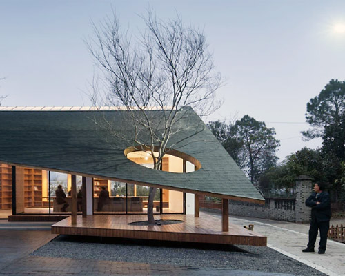 an old tree punctures majialong village activity building by mix architecture in china