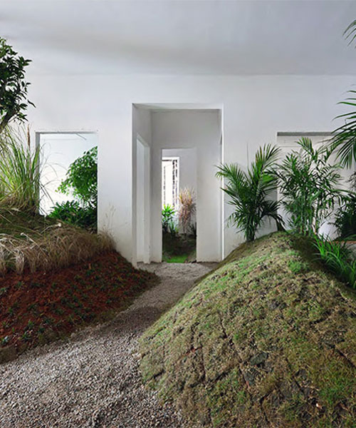 a 90 sqm rented apartment is converted into a park by DEVOLUTION