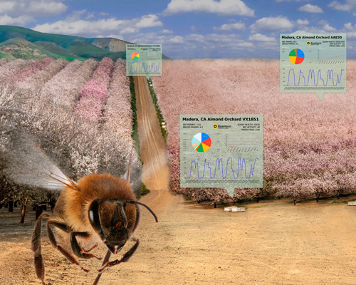 beehero's smart beehives monitor hive health in real-time to provide precision pollination