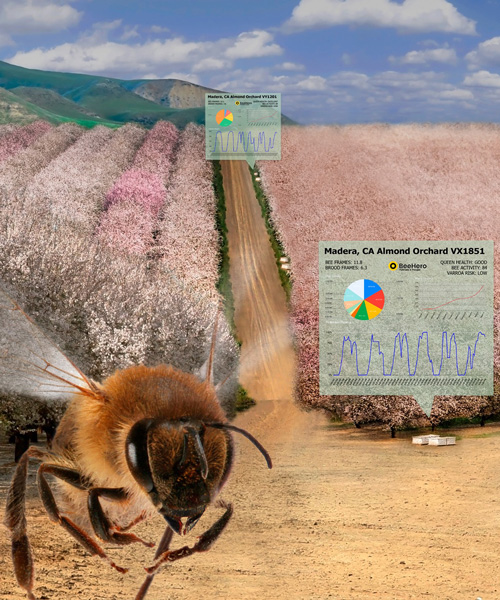 beehero's smart beehives monitor hive health in real-time to provide precision pollination
