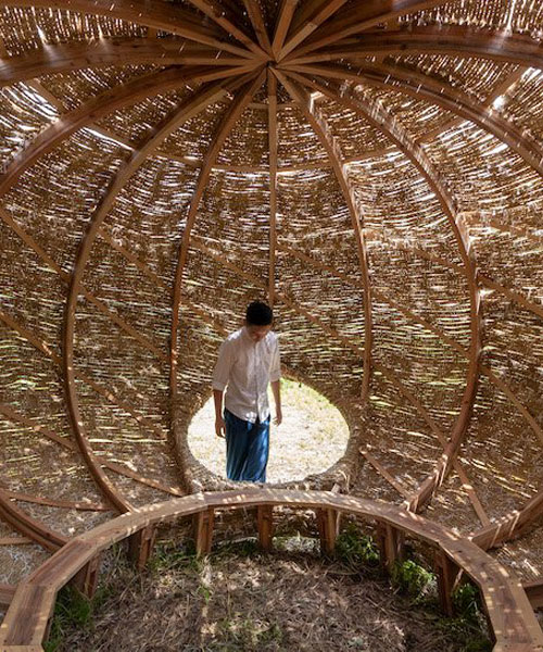 cheng tsung feng weaves rice straws to build an inhabitable 'tea nest' in taiwan