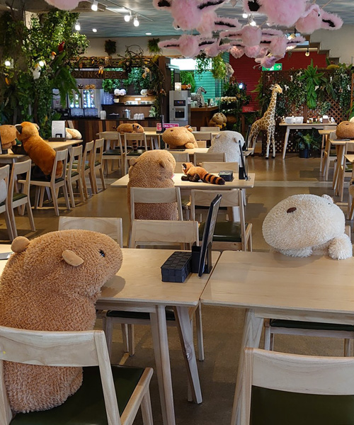 japanese zoo employs capybara stuffed animals to secure social distancing  in its restaurant