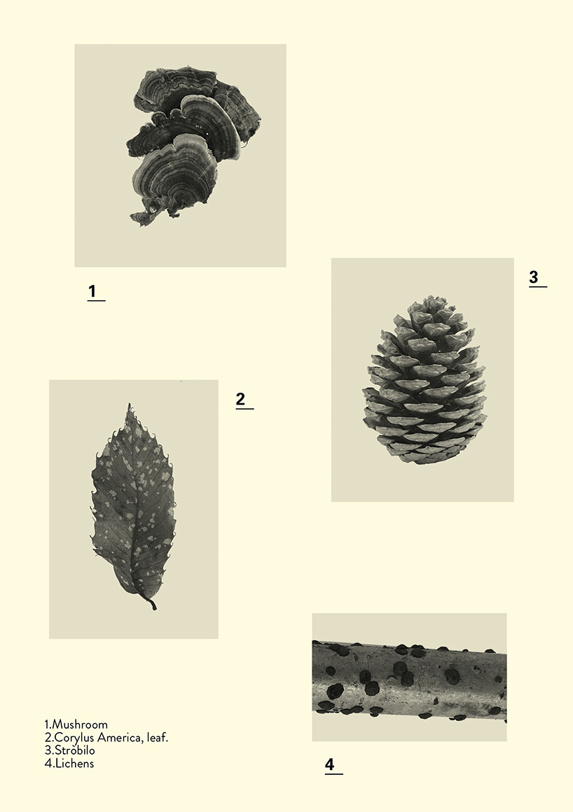 majesty exhibition explores the relationship between humans and wild nature