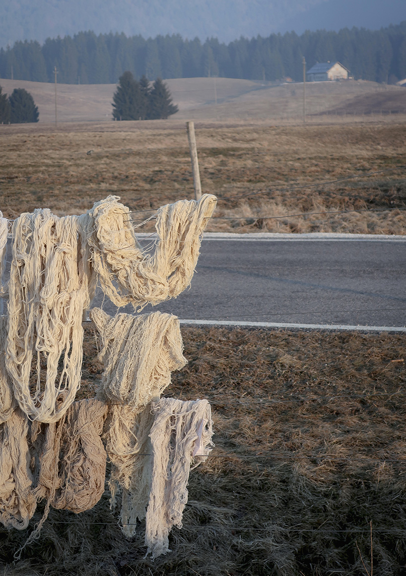 majesty exhibition explores the relationship between humans and wild nature