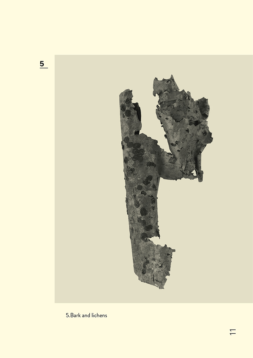 majesty exhibition explores the relationship between humans and wild nature