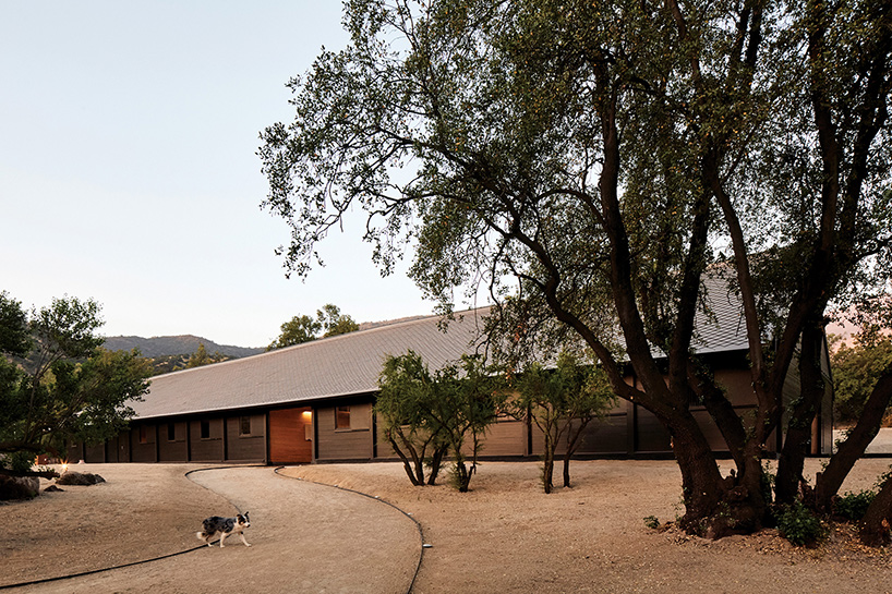 matias zegers designs stable building in chile with 'unnoticeably complex' roof geometry