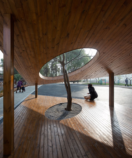 an old tree punctures majialong village activity building by mix architecture in china