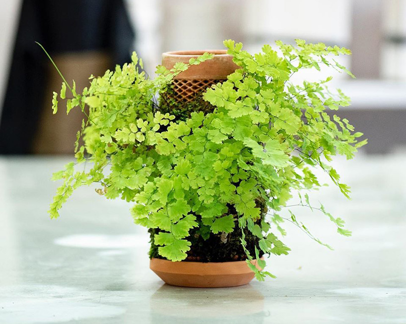 terraplanter is a hydroponic pot that lets you grow plants indoors without soil