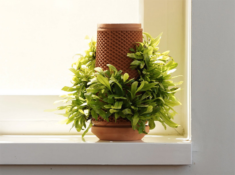 terraplanter is a hydroponic pot that lets you grow plants indoors without soil