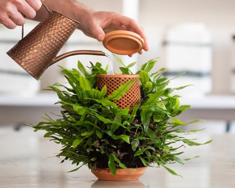 Grow plants without dirt in this Alexa-shaped, hydroponic planter