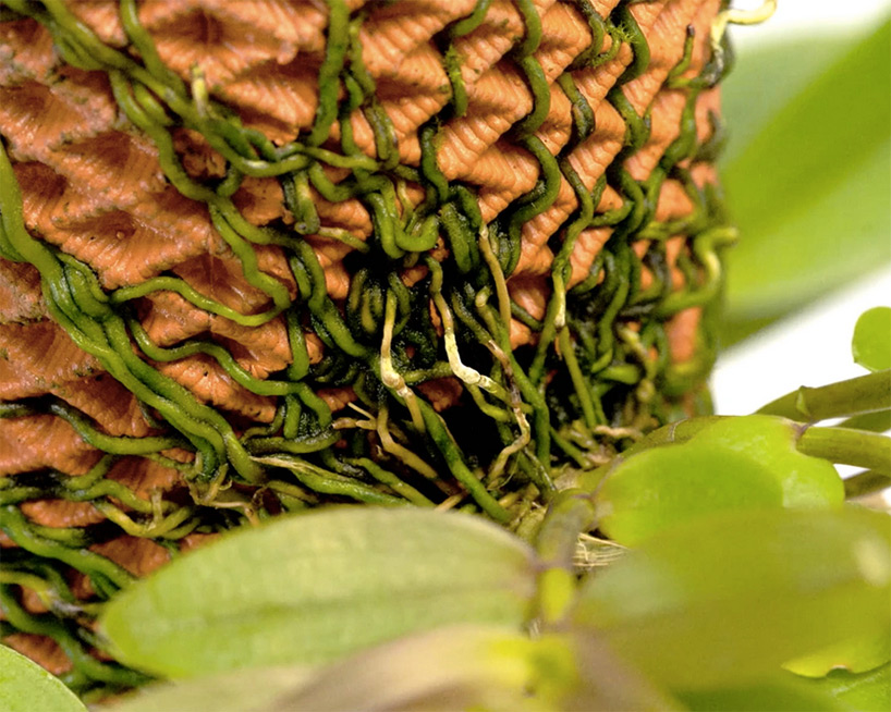 terraplanter is a hydroponic pot that lets you grow plants indoors without soil