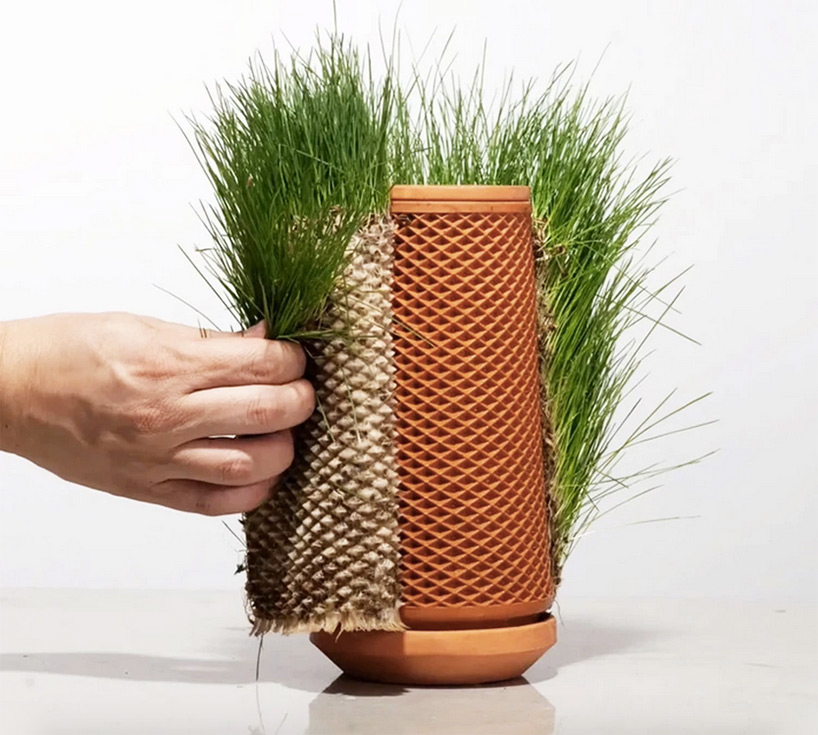 Grow plants without dirt in this Alexa-shaped, hydroponic planter