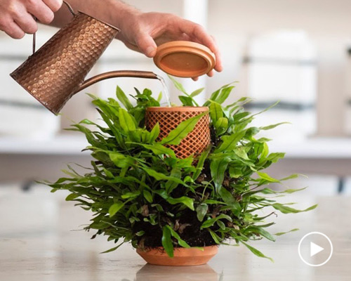 terraplanter is a hydroponic pot that lets you grow plants indoors without soil