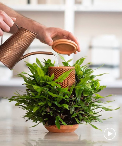 terraplanter is a hydroponic pot that lets you grow plants indoors without soil