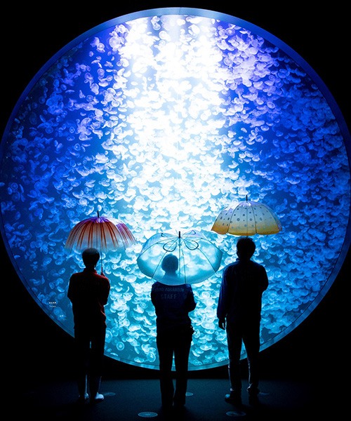 these umbrellas by YOU + MORE! reproduce the beauty of jellyfish