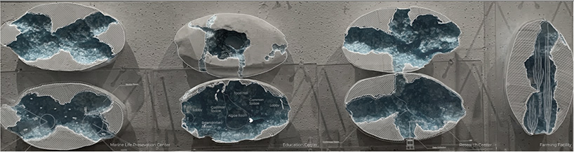 lucy zakharova + ted lu design ocean capsules to help restore the aquatic ecosystem