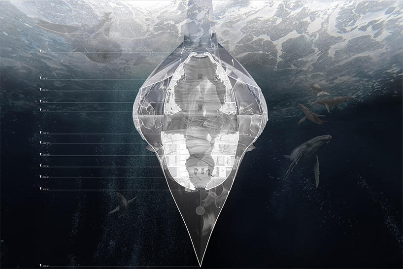 lucy zakharova + ted lu design ocean capsules to help restore the aquatic ecosystem
