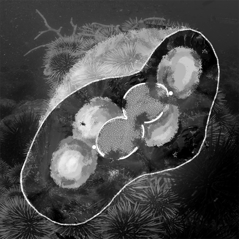 lucy zakharova + ted lu design ocean capsules to help restore the aquatic ecosystem