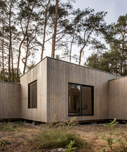 zeller & moye completes woodland retreat in germany comprising five timber volumes