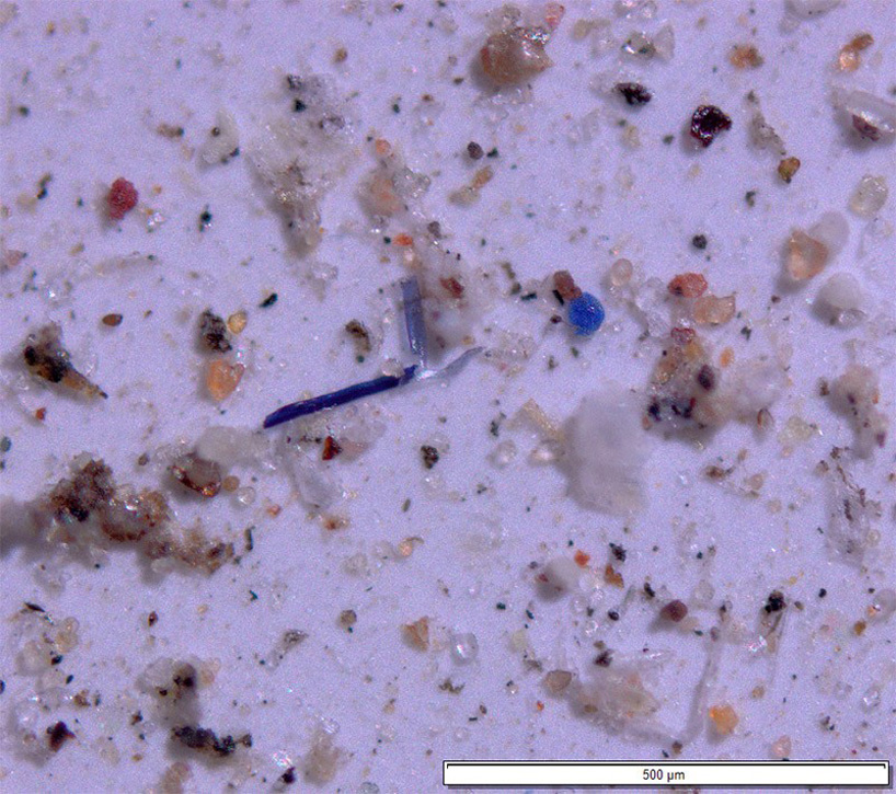 more than 1000 tons of plastic rains on US protected areas annually