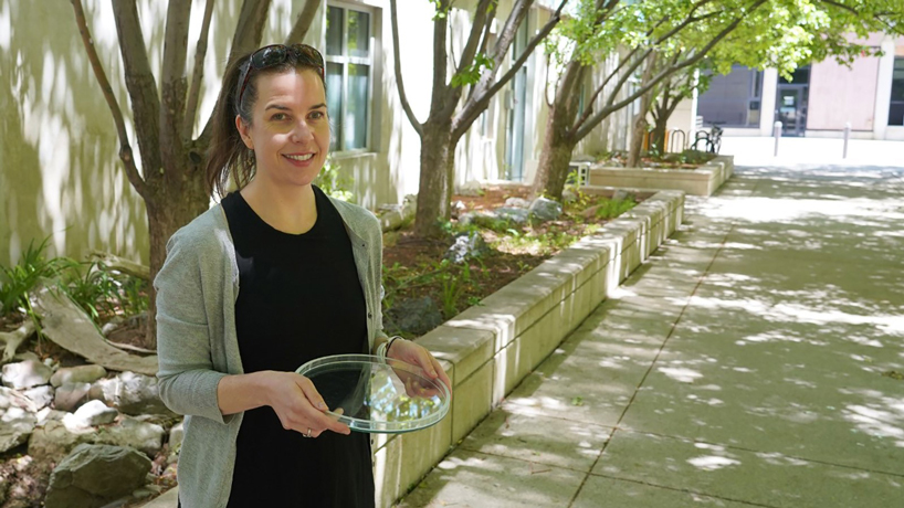more than 1000 tons of plastic rains on US protected areas annually