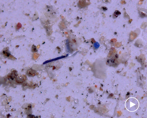 more than 1000 tons of plastic rains on US protected areas annually