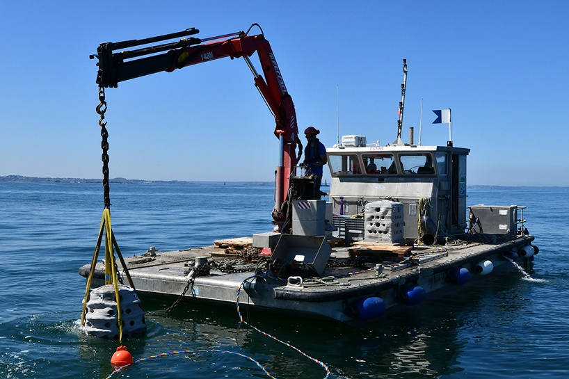 3D-printed artificial reefs immersed in european bays as part of 3Dpare ...