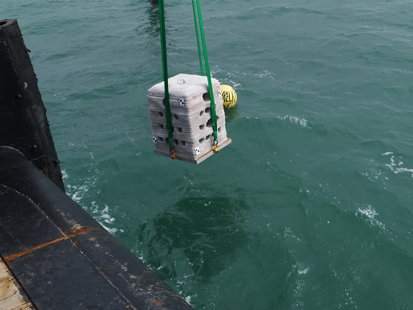 3D-printed artificial reefs immersed in european bays as part of 3Dpare project
