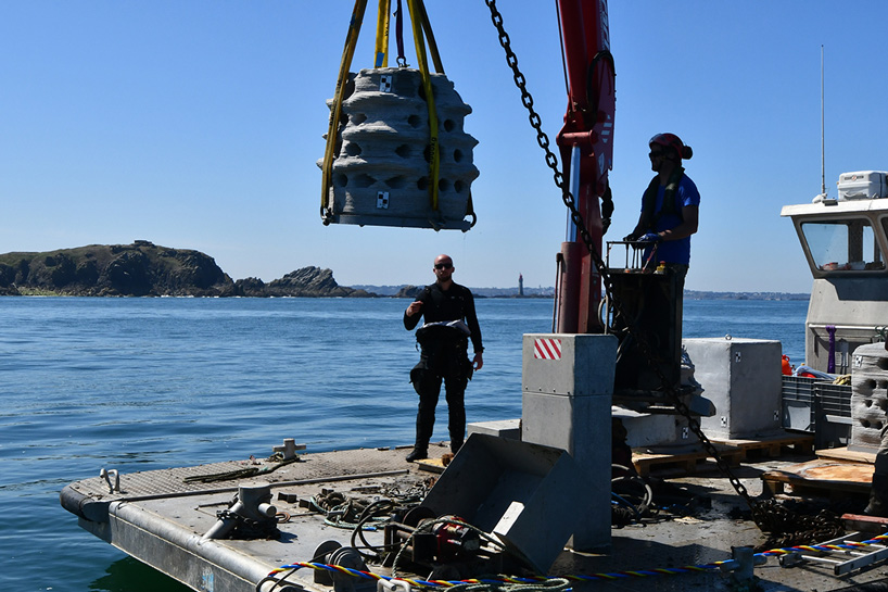 3D-printed artificial reefs immersed in european bays as part of 3Dpare project