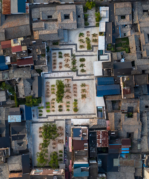DnA plants chinese herbal garden to provide space within densely populated neighborhood