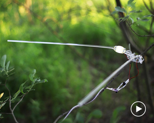the anemokinetics project uses the movement of trees to generate electricity